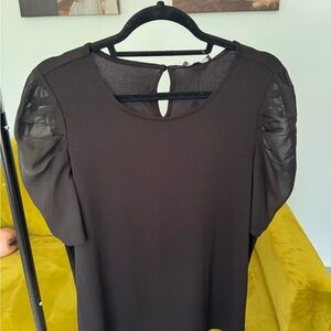 Adrianna Papell Black Blouse with Sheer Sleeves